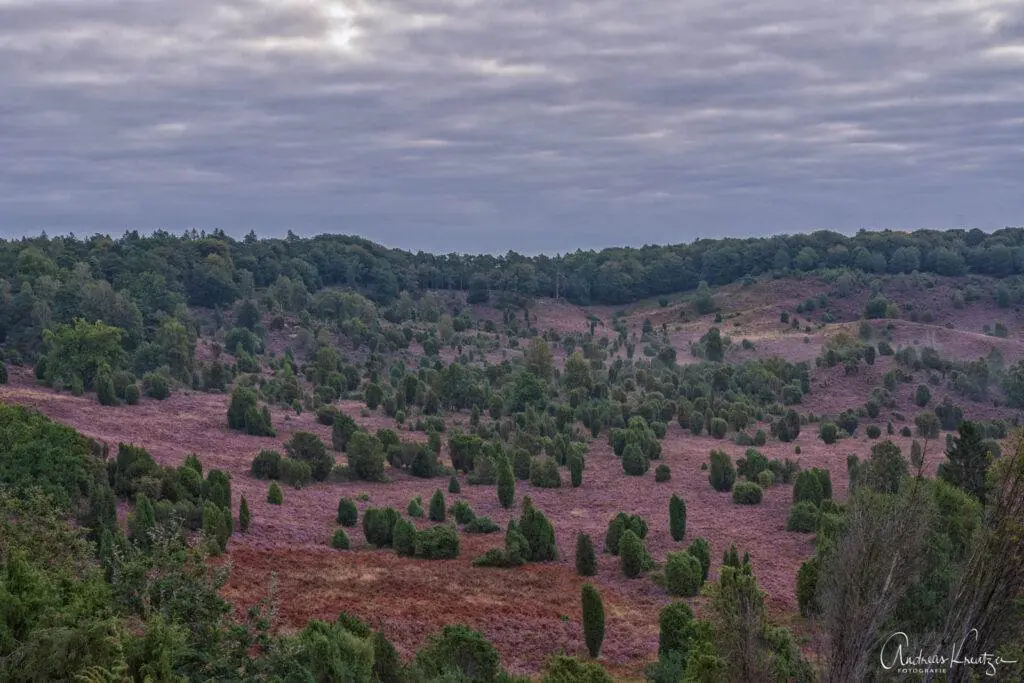 Totengrund in der Lüneburger Heide