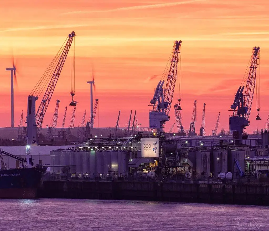 Kraene im Hamburger Hafen