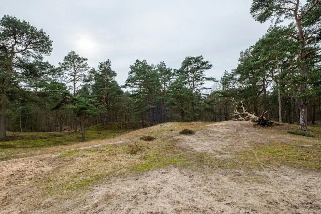 Besenhorster Sandberge