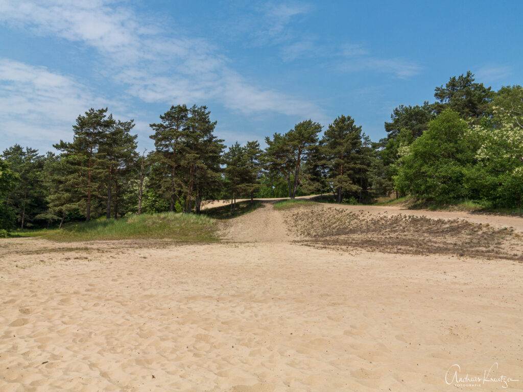 Besenhorster Sandberge