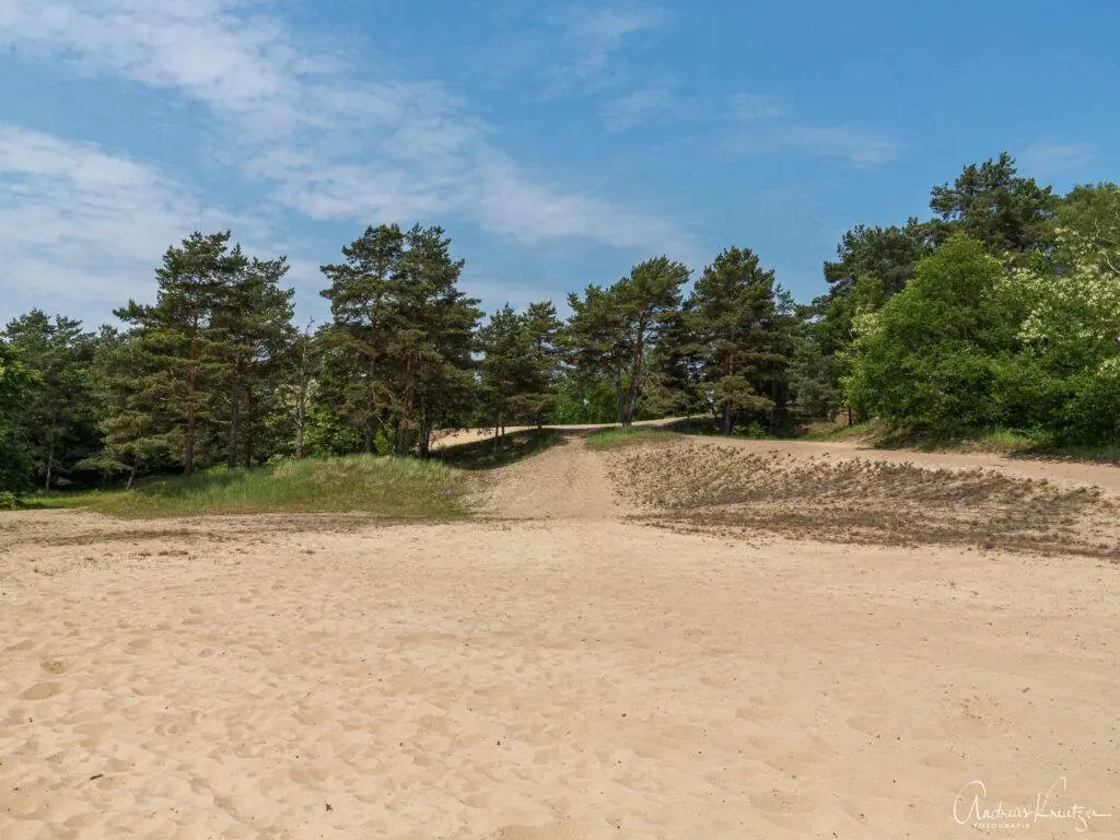 Besenhorster Sandberge