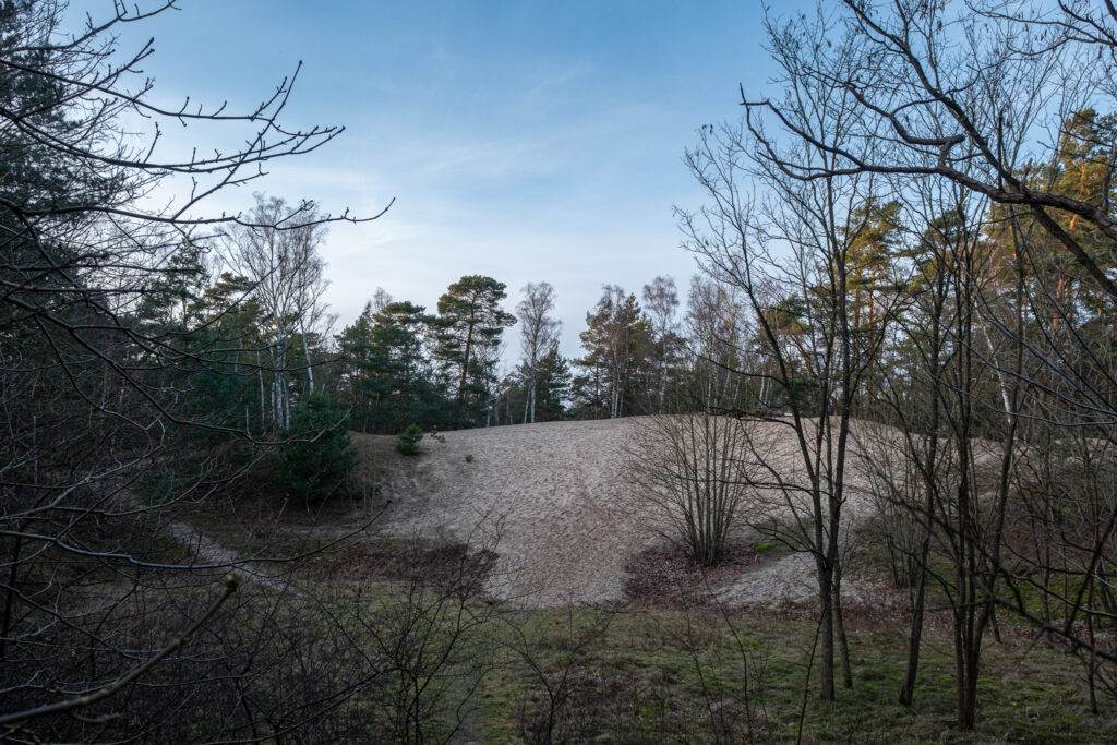 Besenhorster Sandberge