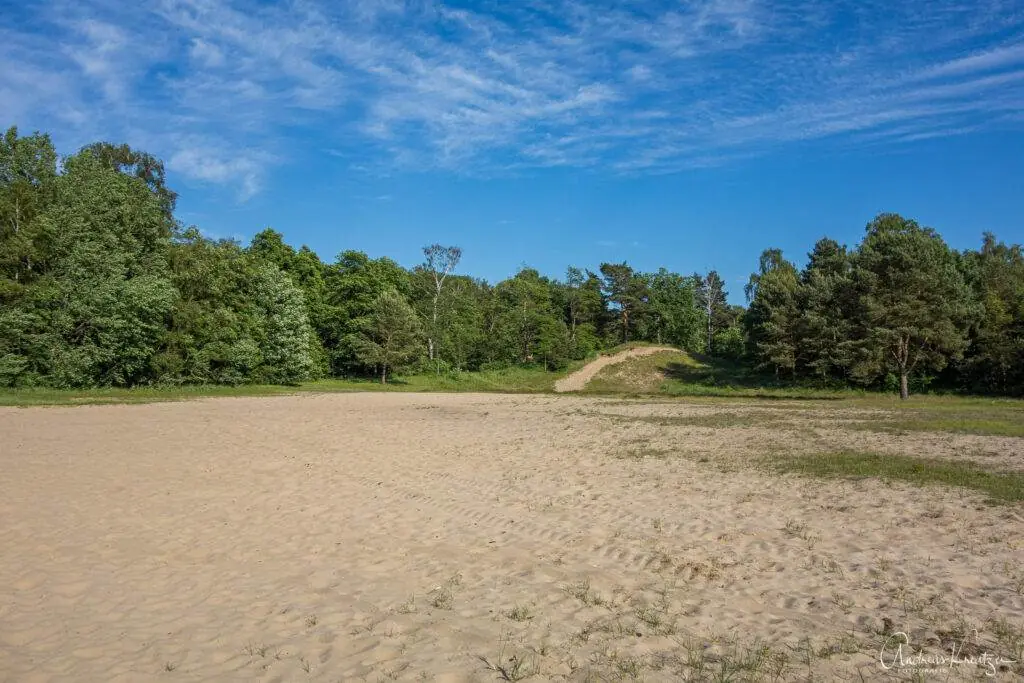 Besenhorster Sandberge