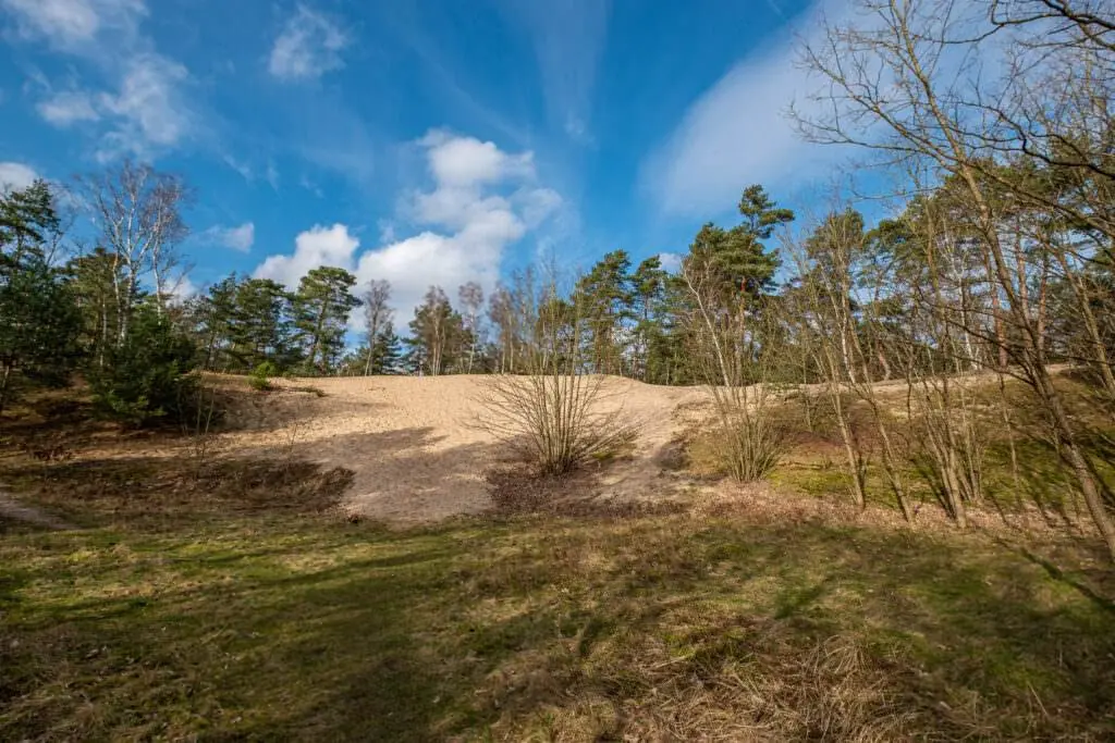 Besenhorster Sandberge