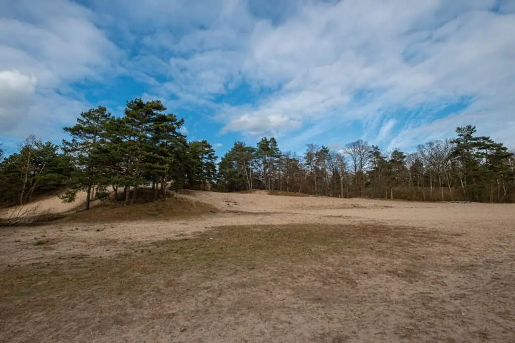 Besenhorster Sandberge