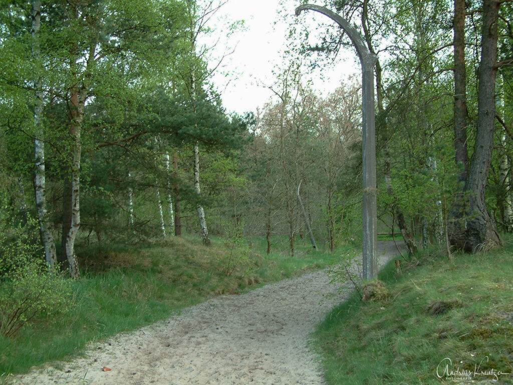 Düneberger Sandberge