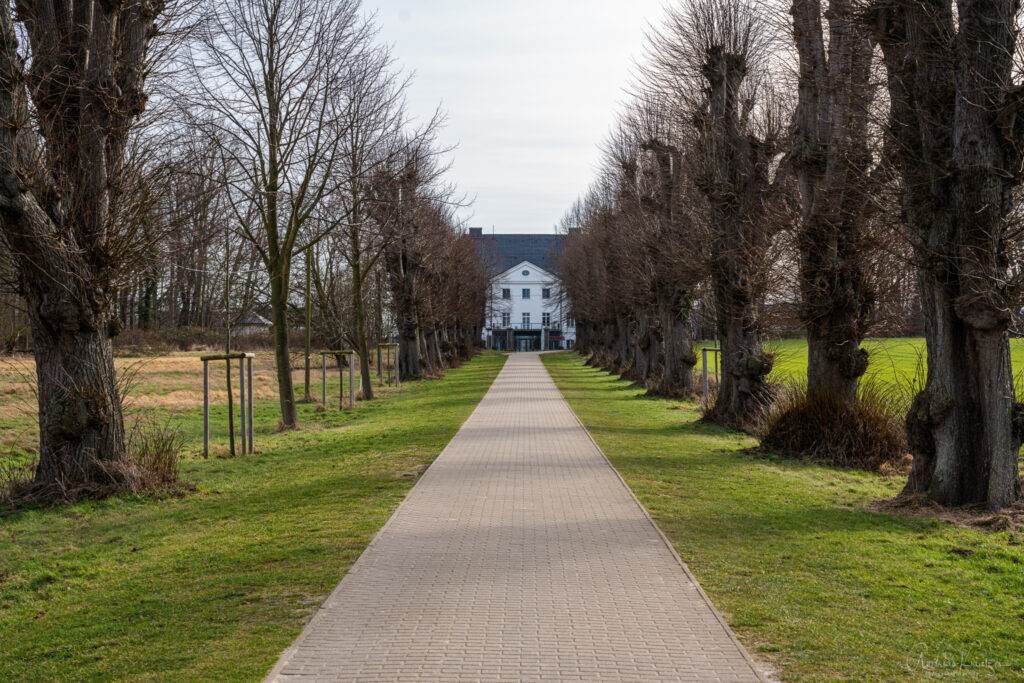 Lindenallee Groß Schwansee