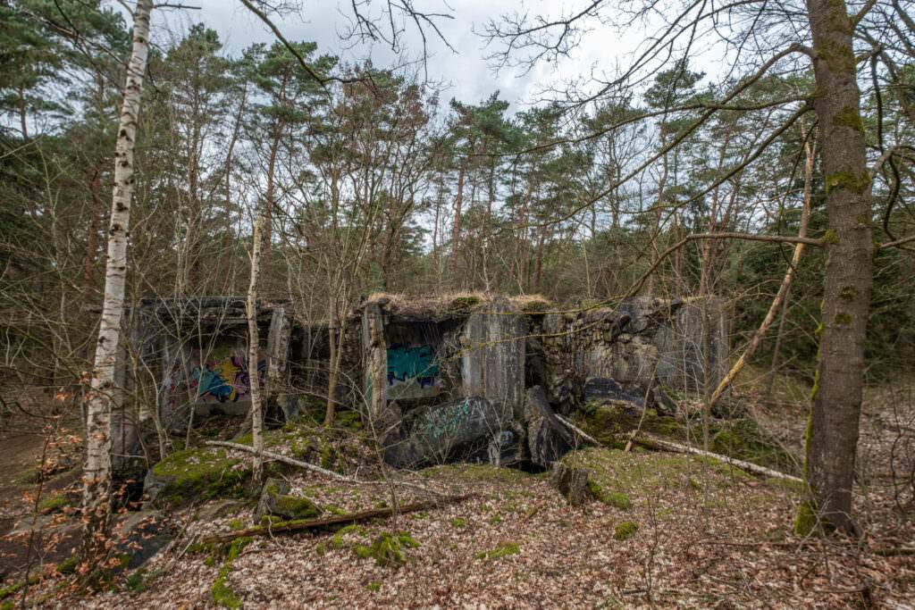 Ruine der Pulverfabrik Dueneberg