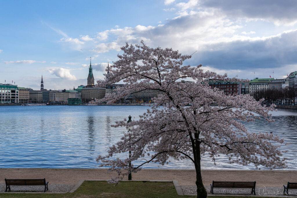 Binnenalster