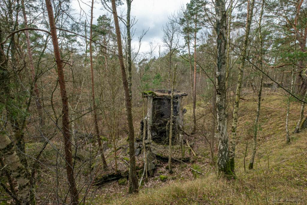 Ruine Pulverfabrik Düneberg