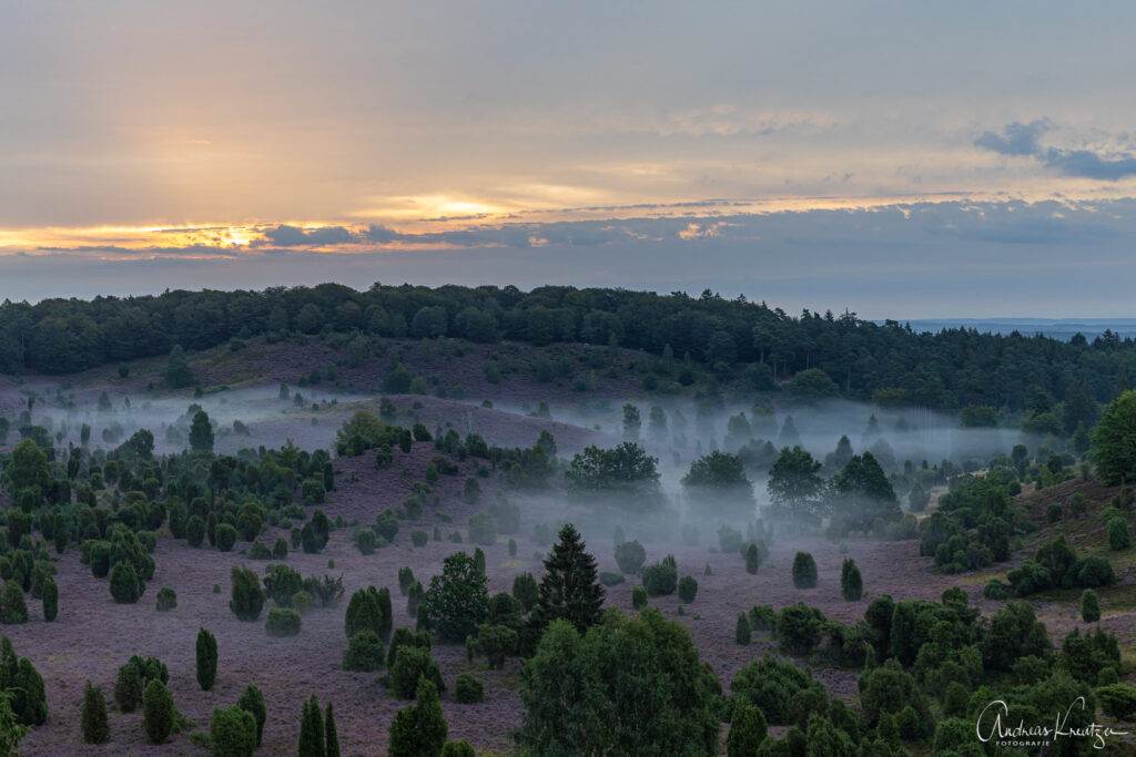 Totengrund mit Nebel