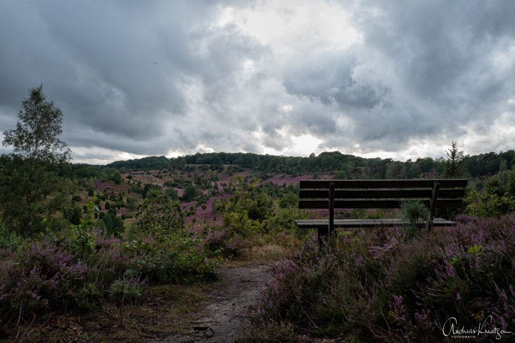 Lüneburger Heide Totengrund