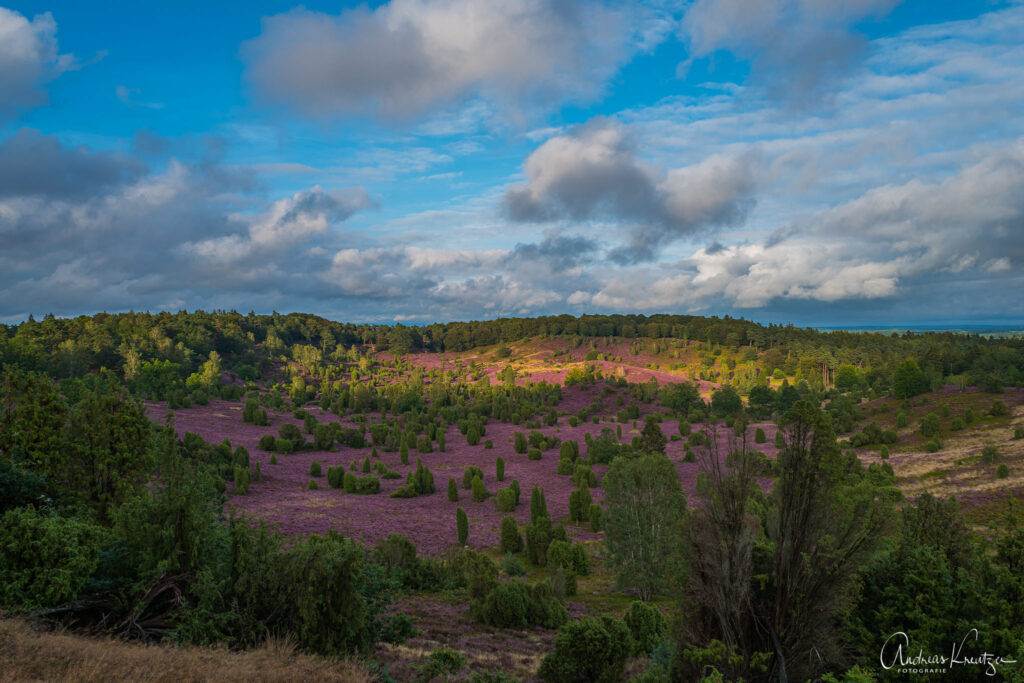 Lüneburger Heide Totengrund