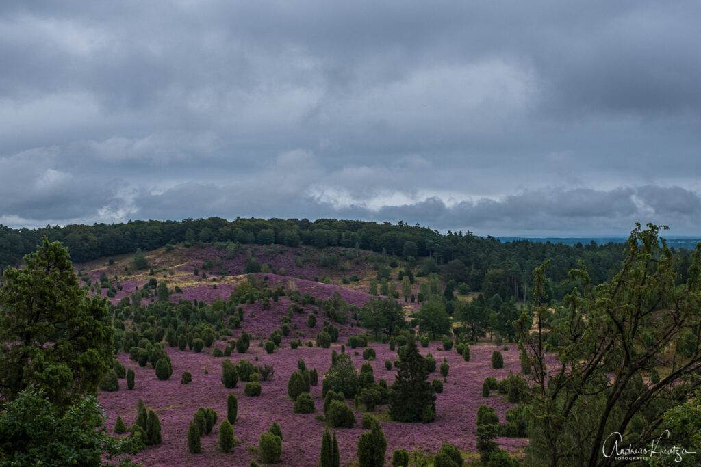 Totengrund in der Lüneburger Heide