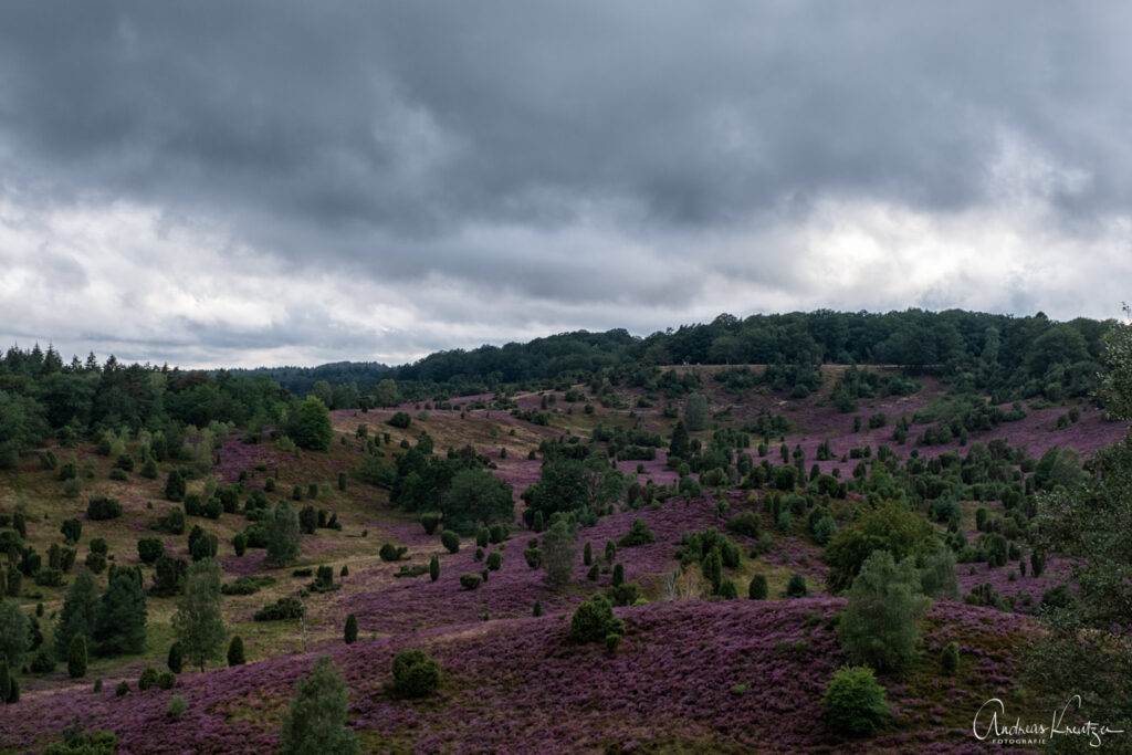 Lüneburger Heide Totengrund