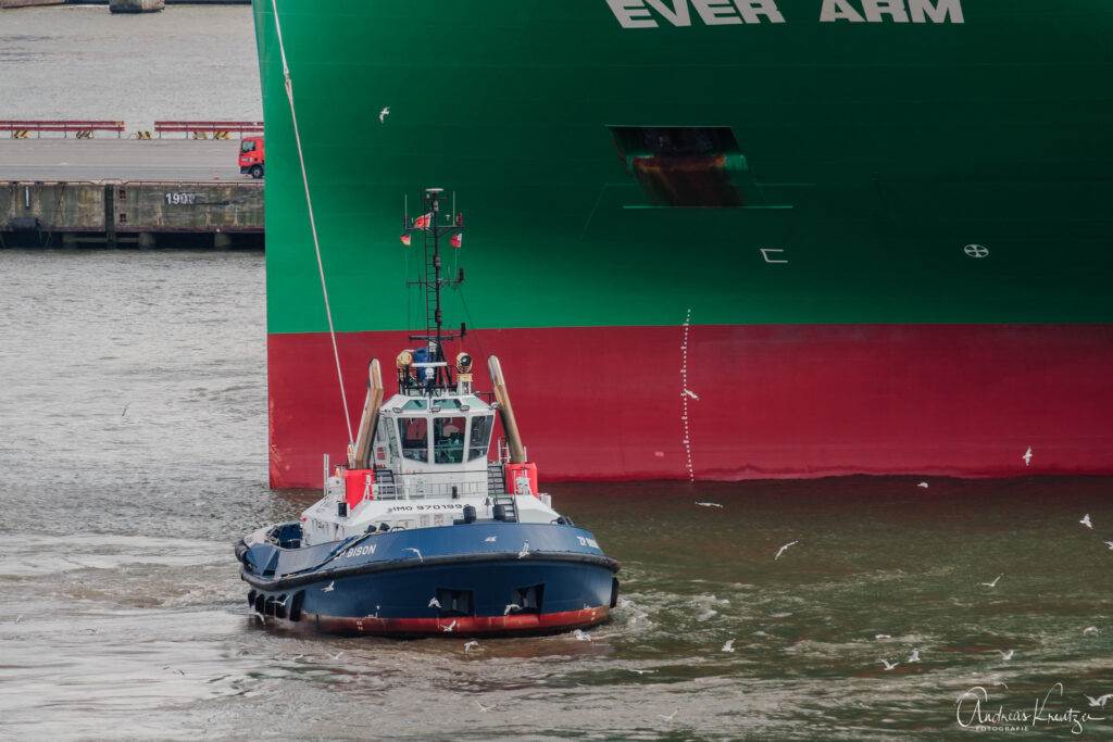 Containerschiff Ever Arm