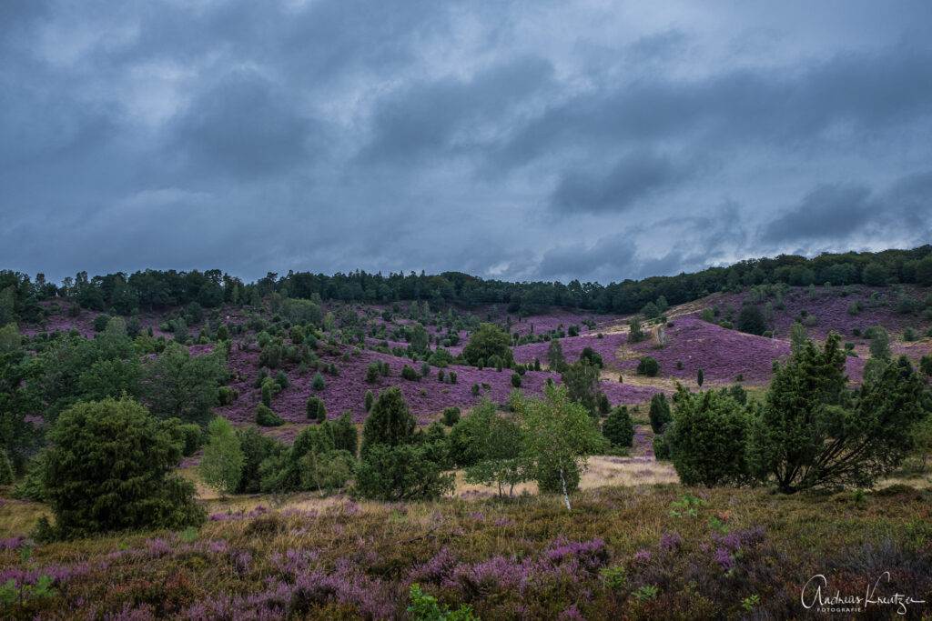 Totengrund in der Lüneburger Heide