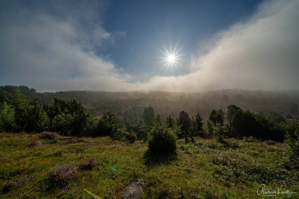 Totengrund in der Lüneburger Heide