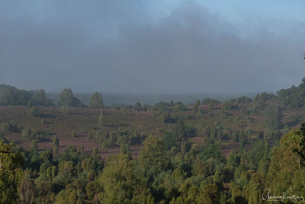 Totengrund in der Lüneburger Heide