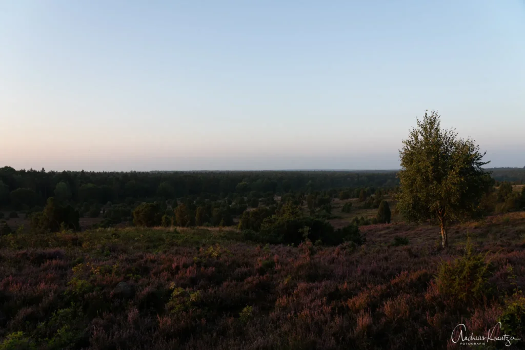 Steingrund in der Lüneburger Heide