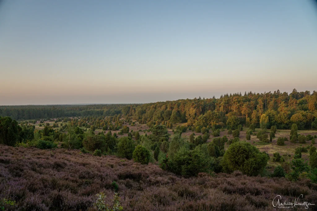 Steingrund in der Lüneburger Heide