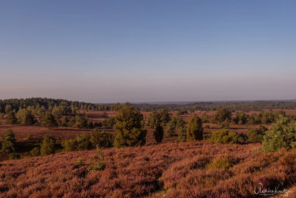 Blick vom Wilseder Berg
