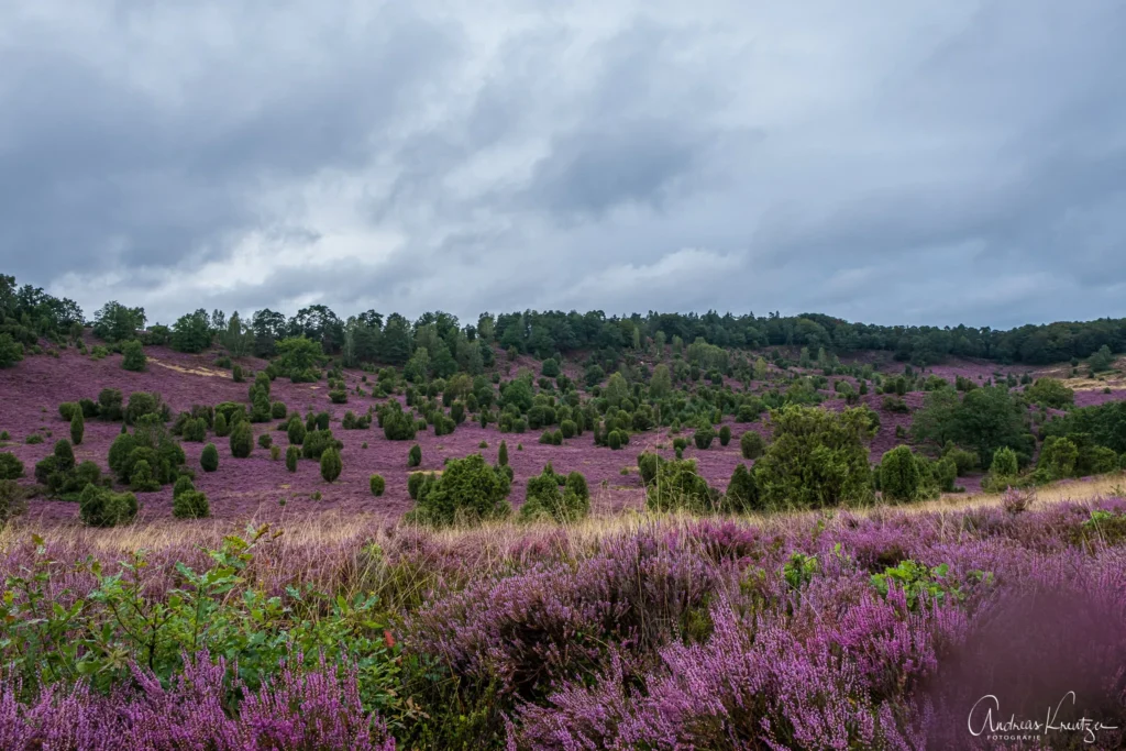 Totengrund in der Lüneburger Heide