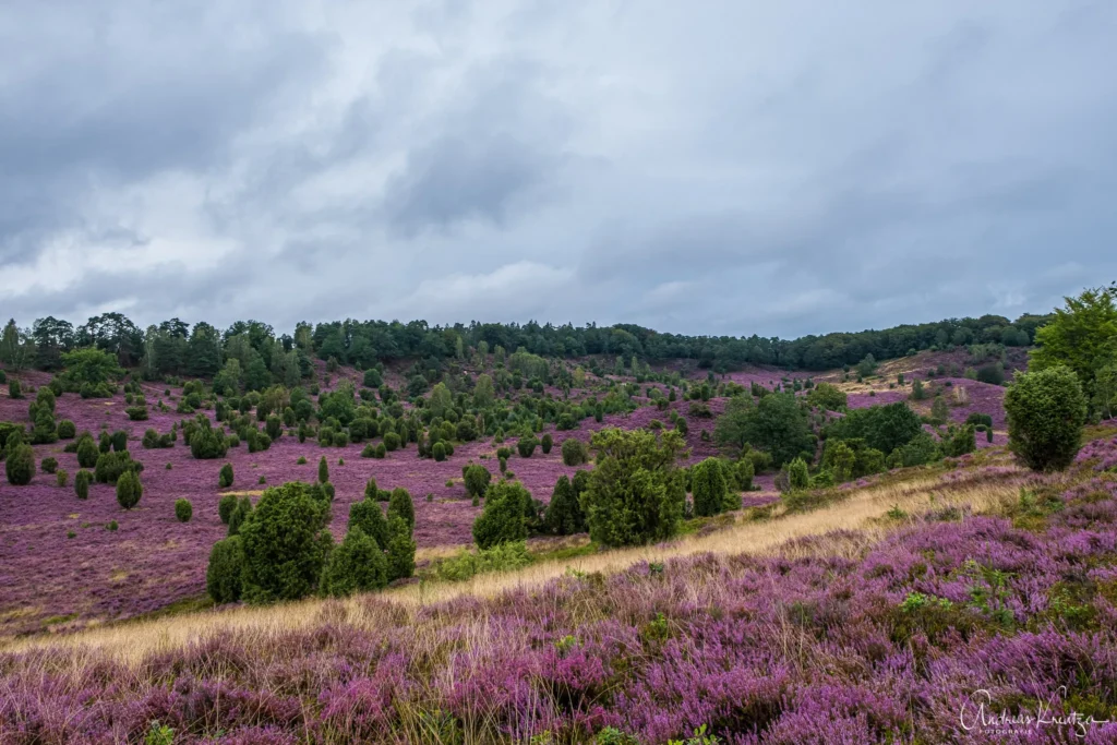 Totengrund in der Lüneburger Heide