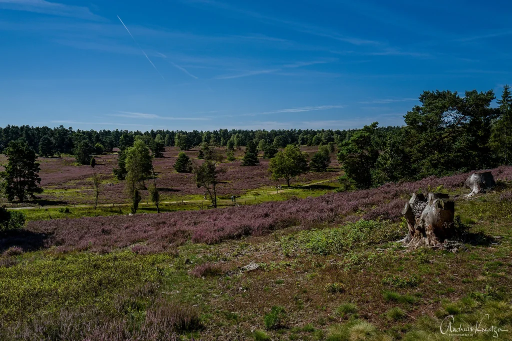 Büsenbachtal in der Nordheide