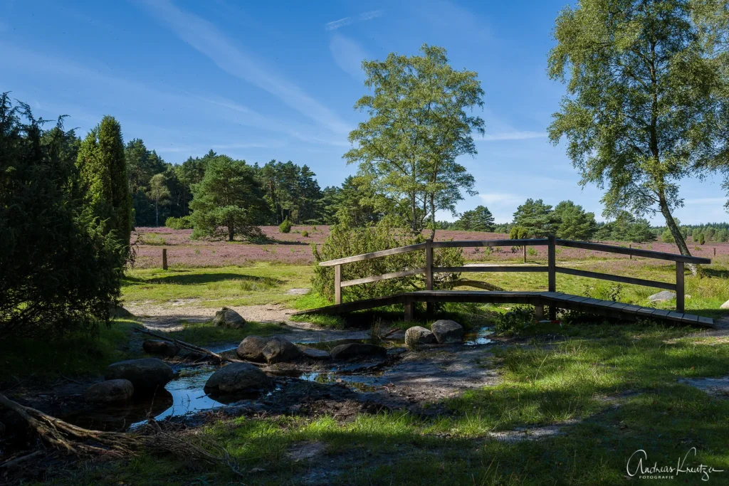 Büsenbachtal in der Nordheide