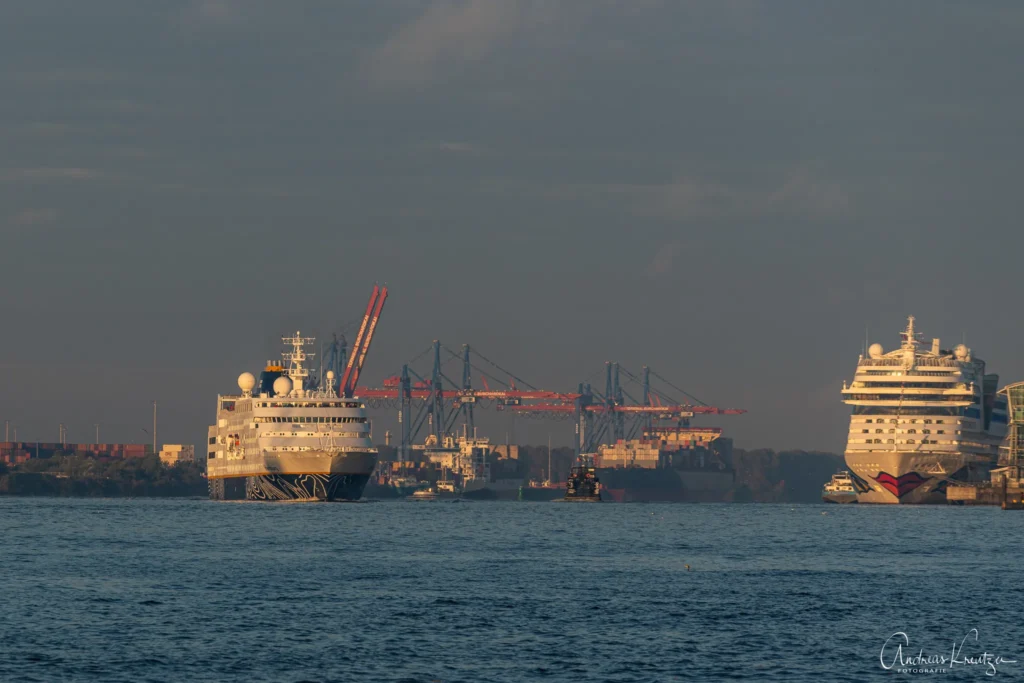 Kreuzfahrtschiff Hamburg in Hamburg