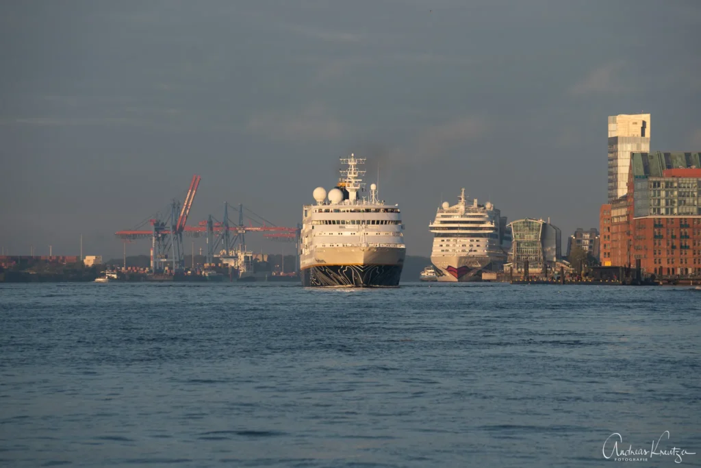 Kreuzfahrtschiff Hamburg in Hamburg