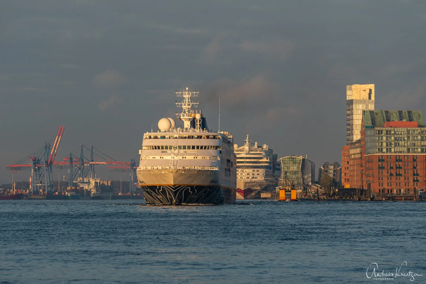 Kreuzfahrtschiff Hamburg in Hamburg