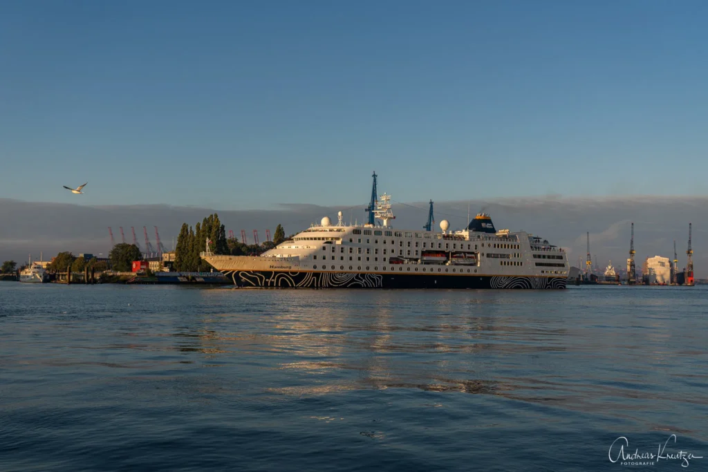 Kreuzfahrtschiff Hamburg in Hamburg