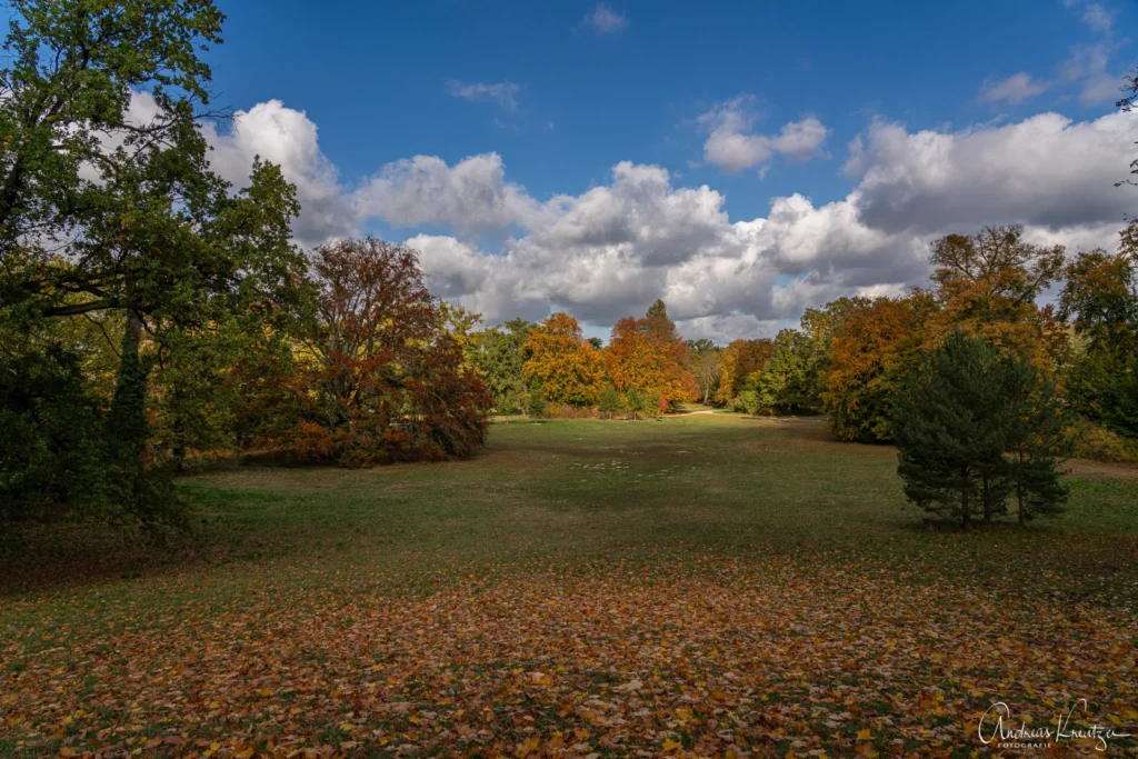 Neuer Garten in Potsdam