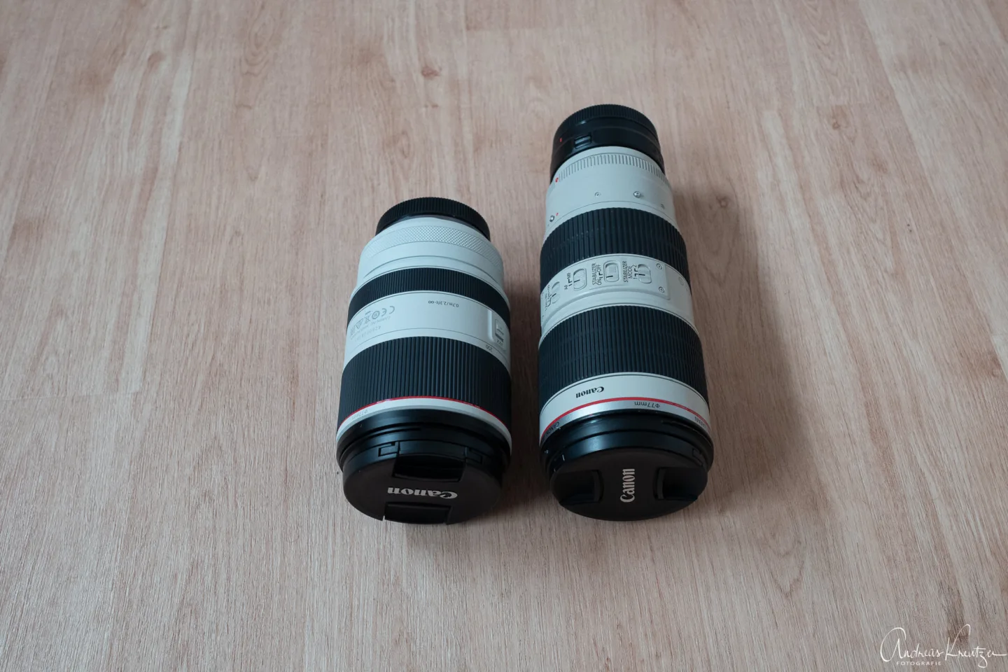 Canon RF 70-200 2.8 vs. EF 70-200 2.8