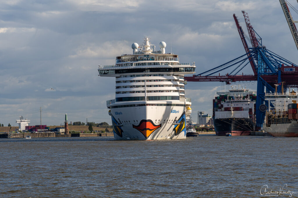 AIDAPerla in Hamburg