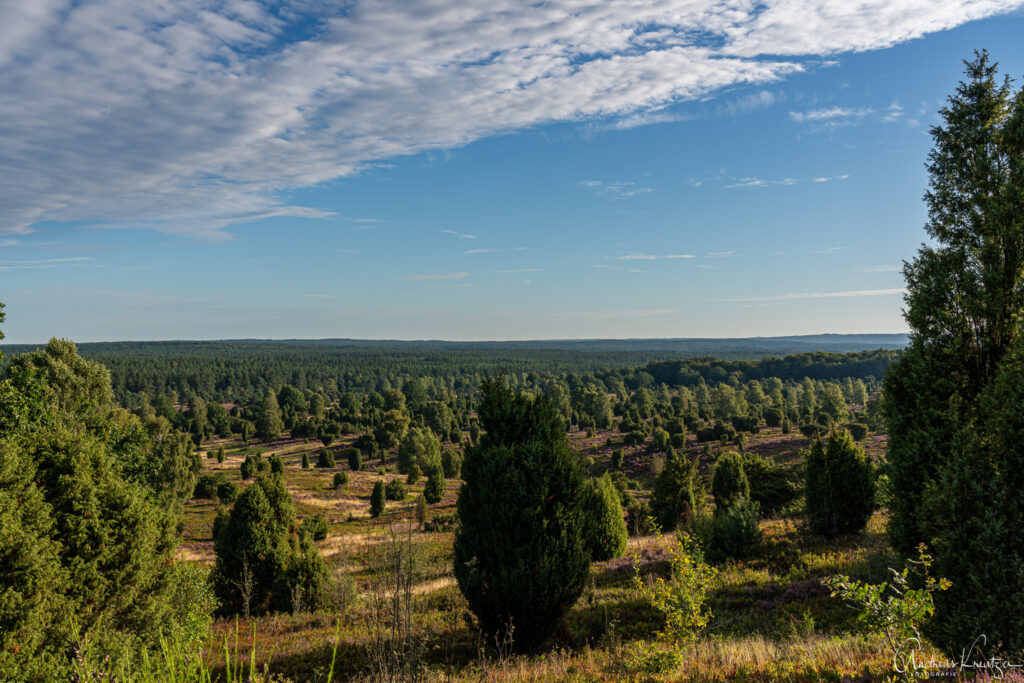 Blick vom Wilseder Berg