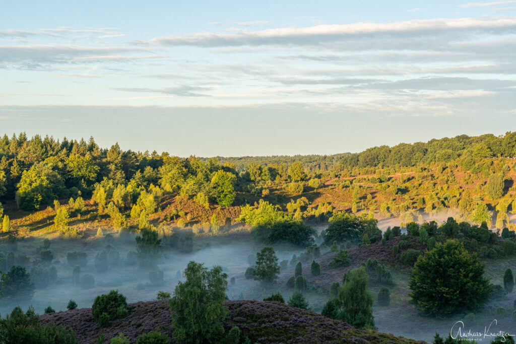 Totengrund in der Lüneburger Heide