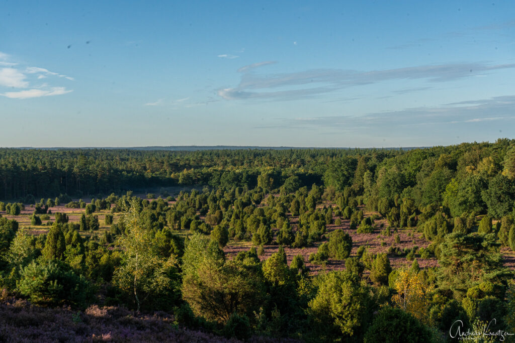 Steingrund in der Lüneburger Heide