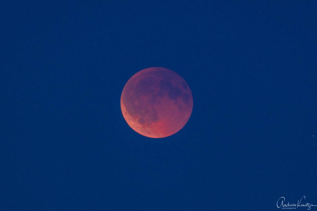 Blutmond über Hamburg
