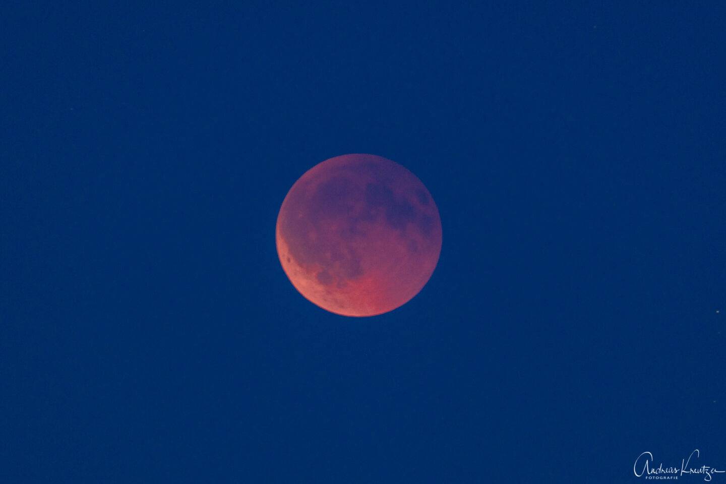Blutmond über Hamburg